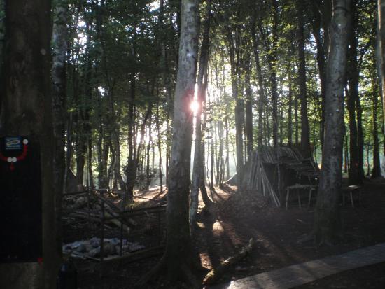 Footsteps of Discovery